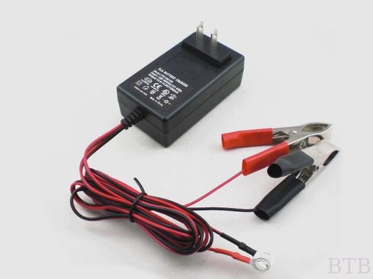 استخدام بطارية قياسية ونوع كهربائي 24V 500mA شاحن بطارية حمض الرصاص sild acid batte المزود